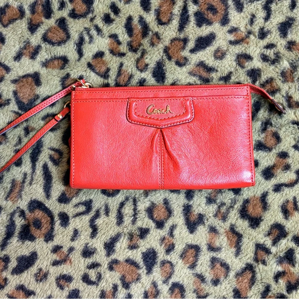 Coach Ashley Hippie Crossbody Leather Shoulder Bag and Wallet Set